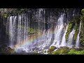 Very Beautiful Melody Filled with Light and Love! Morning Meditation 528 Hz