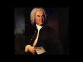 J. S. Bach -  Brandenburg Concertos