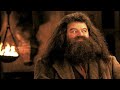 The REAL Reason Hagrid's Wand Was Snapped - DARK Harry Potter Theory