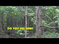 Response to Impossible Visits Comment and More Bigfoots Identified in Patty Look Alike Video