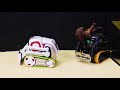 WHAT IF THE COZMO AND ANKI VECTOR ROBOT SEE EACH OTHER?
