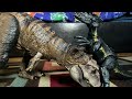 Rexy vs Indoraptor (Dinosaur Stop Motion Animation)