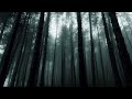 My Name Is Eve, And I'm A Survivor Of The Adam And Eve Project... Creepypasta