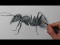 How to Draw an Ant | Cool Drawing with a Ballpoint Pen