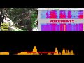 Strange, Unnatural Sounds recorded coming from the Bigfoot Den:   The Bigfoot Denny clip slowed down