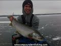 Big Lake Simcoe Lake Trout