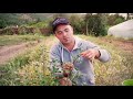 Common Weeds And Wild Edibles Of The World (full movie about foraging)