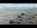 Leelanau Lighthouse State Park