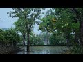 Relaxed Rain & Thunder Sounds for Sleeping in Wengen | Help Study, PTSD, Insomnia & Tinnitus