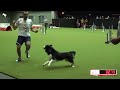 FCI Agility World Championship 2022 // Winners in Individual