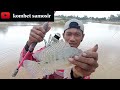 mancing ikan nila#spot ini habis'in umpan karna ikan wader nya terlalu banyak