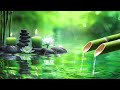 Relaxing Music to Relieve Stress, Anxiety and Depression 🌿 Heals The Mind, Body and Soul #13