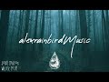 Dark Forest 🦇 - An Indie/Folk/Alternative Playlist | Vol. 5 (Halloween 2023)
