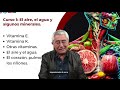 Las Venas y Arterias | WEBINAR EN VIVO