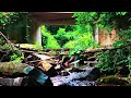 4K UHD NATURE ASMR The Water Flowing Under the Old Bridge