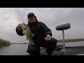 Rain, Wind and  Heavy Cover Fall Largemouths