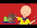 Caillou and the School Talent Show | Caillou's New Adventures | Season 3: Episode 14