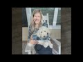 Let’s hear from our puppy families! 🐶Goldendoodle Schnoodle