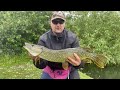 Surface fishing for pike