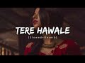 Tere Hawaale - Lofi (Slowed + Reverb) | Arijit Singh, Shilpa Rao | SA Lofi 2.0| Love song ❤🎶