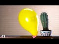 Balloons vs CACTUS! - EP 2
