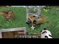 El Caballo Solitario #5 CuboCraft  / Minecraft