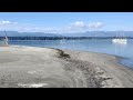 Goose Spit and Comox Bay, Vancouver Island. B.C. 🇨🇦