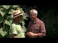 Growing a Greener World Episode 706 - Beyond Organic Gardening: The Principles of Permaculture