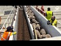 Life INSIDE The Largest Livestock Carrier Ships That Carry Millions Of Cows, Pigs, Goats & Sheep