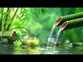 Beautiful Relaxing Piano & Deep Sleeping Music - Water Sound, Meditation Music, Bamboo,Calming Music