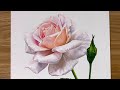 유화. 분홍장미 그리는방법.  oil paint, How to draw a pink rose
