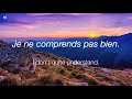 Learn 230 French Survival Phrases (with subtitles)