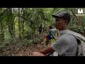 Lost in the Jungle While Looking for Fish | Jungle Survival Fishing Camp Adventure
