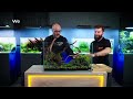 A Perfect Tutorial to Start Your FIRST Planted Aquarium