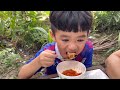 Bánh Mì Xíu Mại Bữa ăn Nhanh Cho Gia Đình |Atml&family T571
