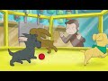 🐶 The Curious Case of the Missing Puppy | CURIOUS GEORGE