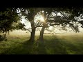 TAKING YOU THROUGH 2 MINUTES OF PURE BEAUTY | RELAXING MUSIC