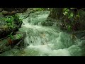 [Healing Music] Music to relax the brain - Relaxing music, meditation music, stress relief music