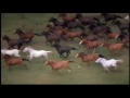 The Man From Snowy River Trailer