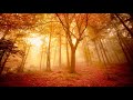 Beautiful Instrumental Hymns about Prayer and God's Help for your Troubles | Relaxing, Peaceful