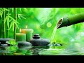 Relaxing Music to Relieve Stress, Anxiety and Depression 🌿 Heals The Mind, Body and Soul #38
