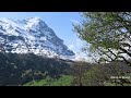 Switzerland 4K 🇨🇭 Grindelwald In Spring  Scenic Relax ASMR