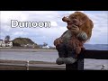 Dunoon - In Search of Fairies