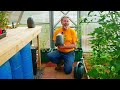 How to Make Organic Fertilizer (FOR FREE)