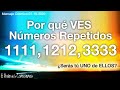 1111¿Los VES Tú? Muchos HUMANOS los estamos ViENDO hace TIEMPO🌟 Descubre POR QUÉ y para QUÉ 🦋