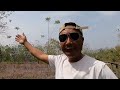 Mulum Kumar shows me the secret medicinal plants @nagalora