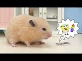 Baby Boss Is Sick! Hamster MiMi Take Care Of Baby| Hamster Cartoon