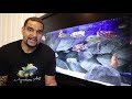 Aquarium Wave Maker Benefits - (More than you think)