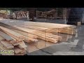 Amazing Fastest Large Wood Sawmill Machines Working, Modern Operated  Sawmills in The Country