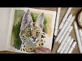 Drawing a Serval cat (with Alcohol Markers)